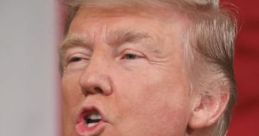 Donald Trump (Casual Speech)