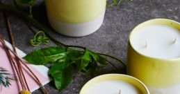 Candle Library