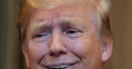 Donald Trump (Sarcastic)