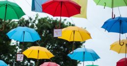 Wind In Umbrellas Library