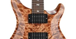 Dry electric guitar Library