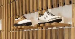 Smart shoes Library