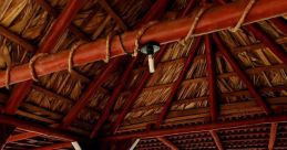 Vinales Library