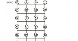 Bass note Library