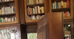 LARPing Library