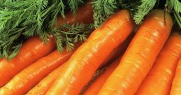 Carrots Library