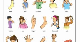 Bodyparts Library