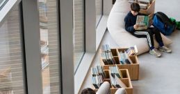 Bean bag Library