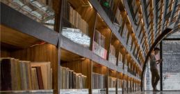 Mirrored Library