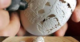Egg shell Library