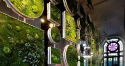 Nature ambience Library