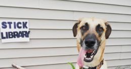 Pet dogï»¿ Library
