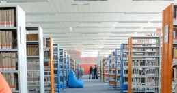 Soft carpet Library