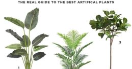 Fake Plants Library