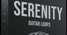 Guitar loop Library