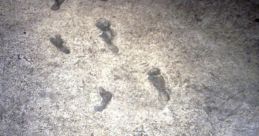 Natural footsteps Library