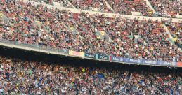 Sports crowd Library