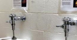 Bathroom stall Library