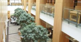 Transformation Library