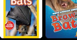 Brown Bat Library