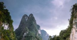 Khao Sok Jungle Library