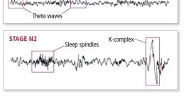 Sleep Waves Library