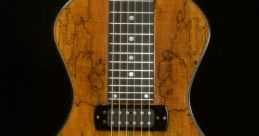 Lap steel Library