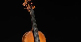 Violin collegno Library