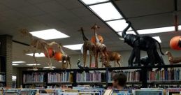 Scutter Library