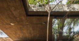 Earthy Library