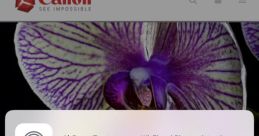 Inkjet Library The Inkjet S Library is a treasure trove of related to printers, specifically Canon printers. As you