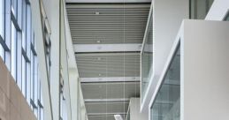 P38 Library