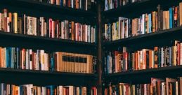 Zooming Library Zooming through the winding streets of the racetrack, the Indy Lights cars whizzed past the crowds of