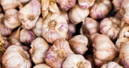 Garlic Library