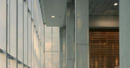 Ms Library