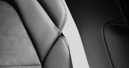 Car seat belt Library