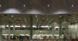 Denmark Library