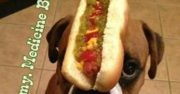 Man says get your hot dogs here Library