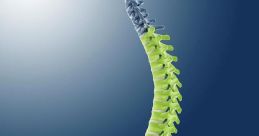 Spines Library