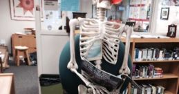 Skeleton Library