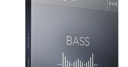 Bass sample Library