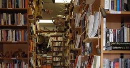 Fluffy house cat lounging in a cozy library aisle filled with books, creating a warm and inviting atmosphere.