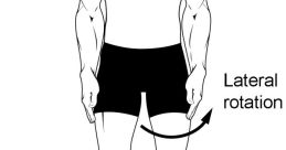 Body. Movement Library