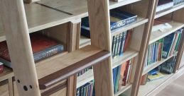 Bounce Hit Hardwood Library