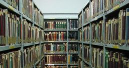 Prison door Library