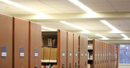 Storage Shelf Library