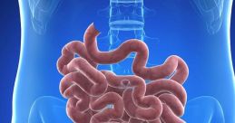 Intestine Library