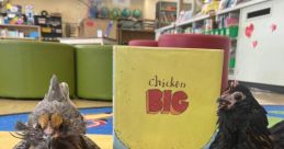 Hens Library