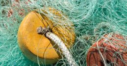 Fishing Net Library