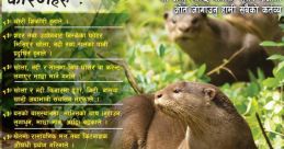 Otter Library